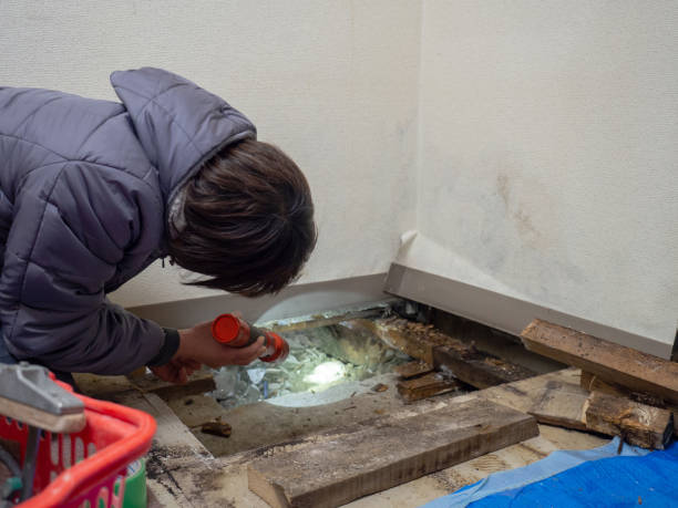 Asbestos and Lead Testing During Mold Inspection in New Egypt, NJ