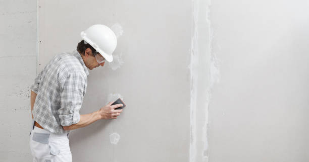 Best Mold Remediation for Rental Properties  in New Egypt, NJ
