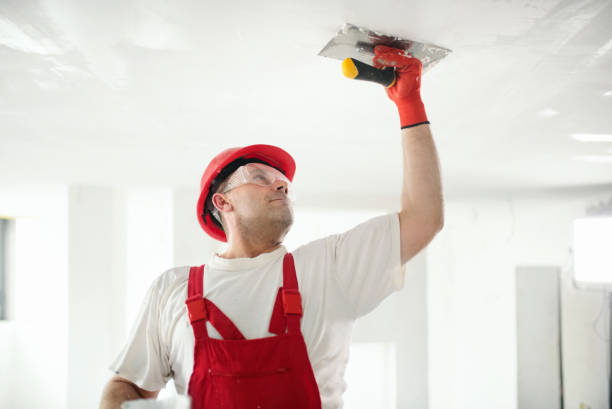 Best Water Damage & Mold Remediation  in New Egypt, NJ
