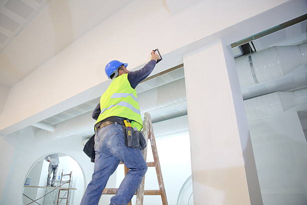Best Mold Odor Removal Services  in New Egypt, NJ
