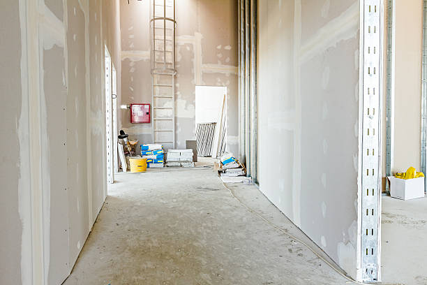 Professional Mold Removal in New Egypt, NJ